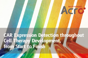 CAR Expression Detection throughout Cell Therapy Development, from Start to Finish