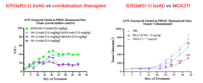 B7H3×PD-L1 bsAb has enhanced T cells and ADCC activities