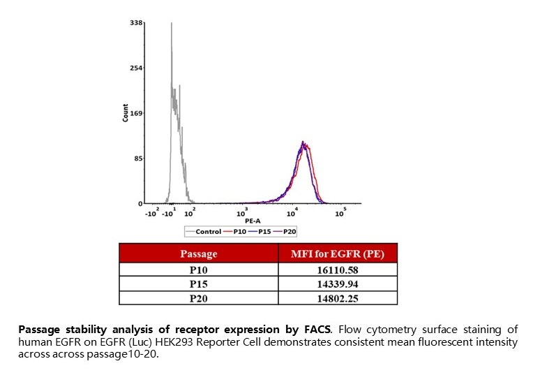 Passage stability analysis of receptor expression by FACS