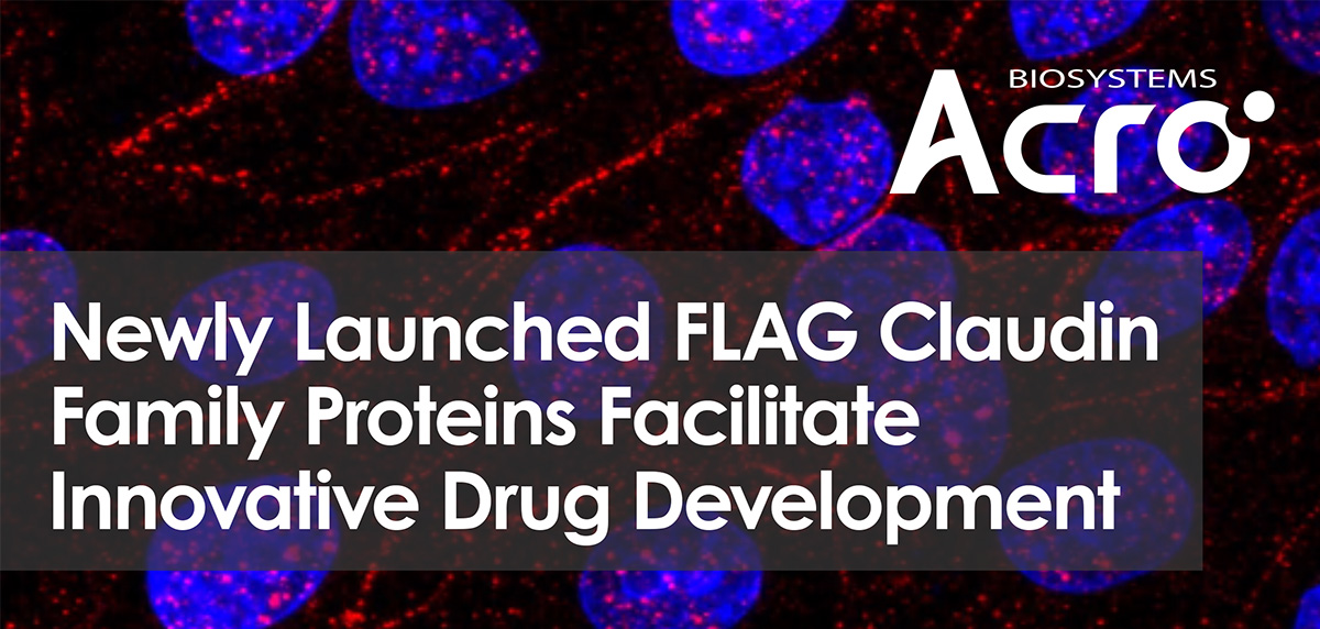 Newly Launched FLAG Claudin Family Proteins Facilitate Innovative Drug Development