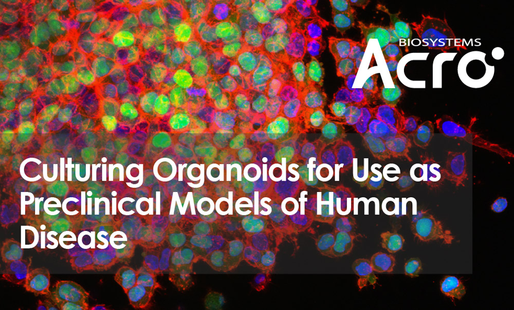 Culturing Organoids for Use as Preclinical Models of Human Disease