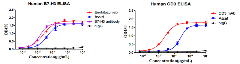 Asset binds to CD3 and B7-H3 antigen simultaneously