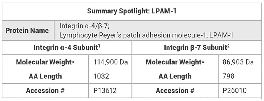 Inspiring Target: Integrin α4/β7 (LPAM-1)