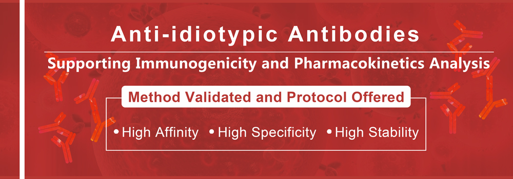 Anti-idiotypic Antibodies