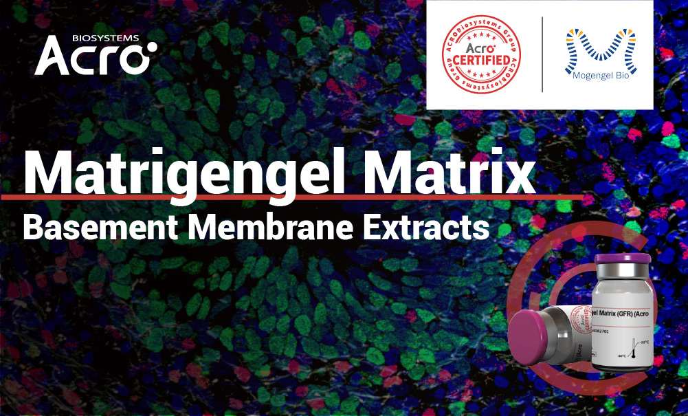 Matrigengel Matrix – From Cell Culturing to Disease Modeling and Everything In-Between
