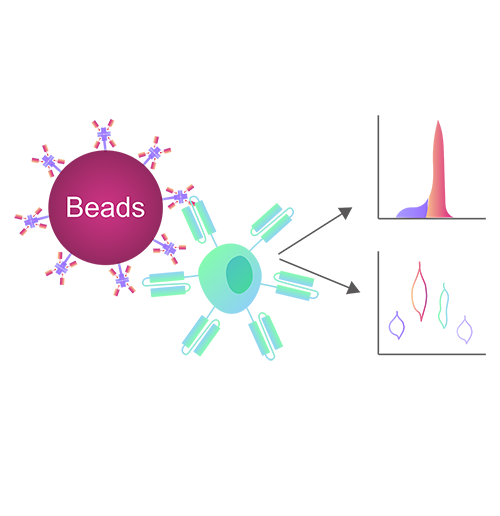 Popular applications of Target-specific Activation Beads