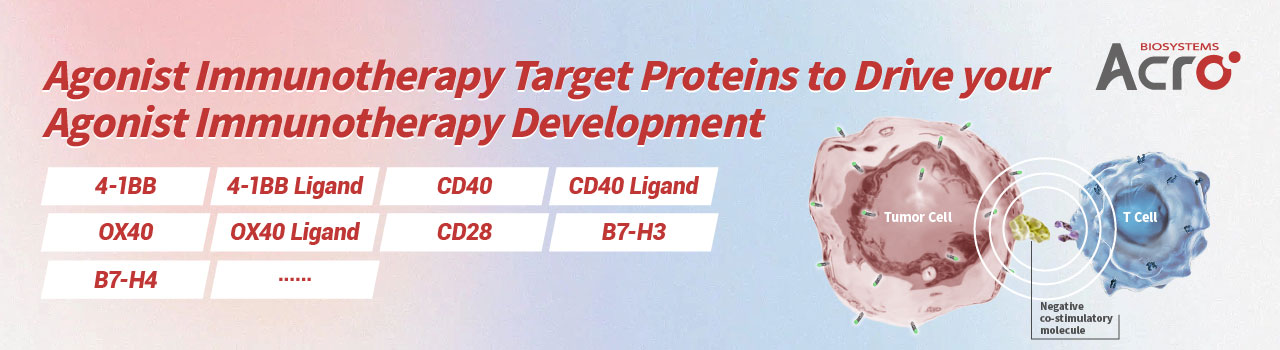 면역치료제 개발 가속화를 위한 Agonist 타겟 단백질