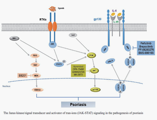 Pathogenesis of Psoriasis - JAK-STAT Signaling Pathway