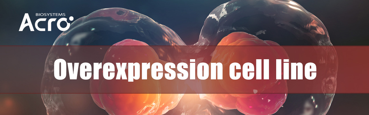 Overexpression cell line
