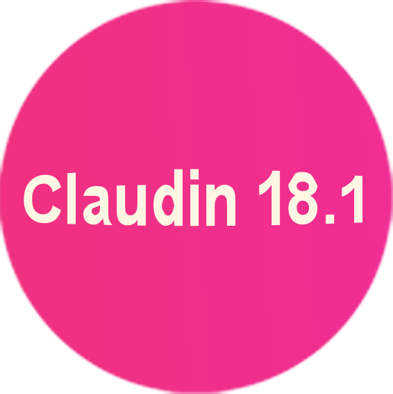 Claudin 18.1