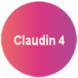 Claudin-4