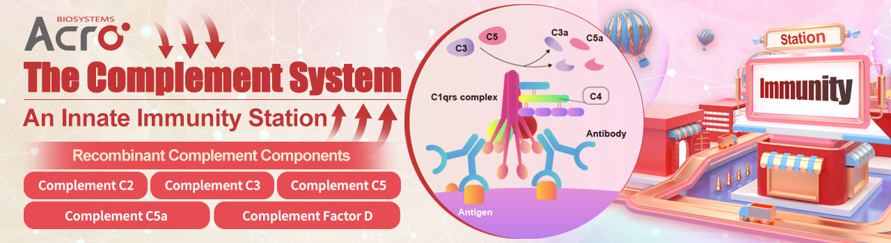 The Complement System, An Innate Immunity Station