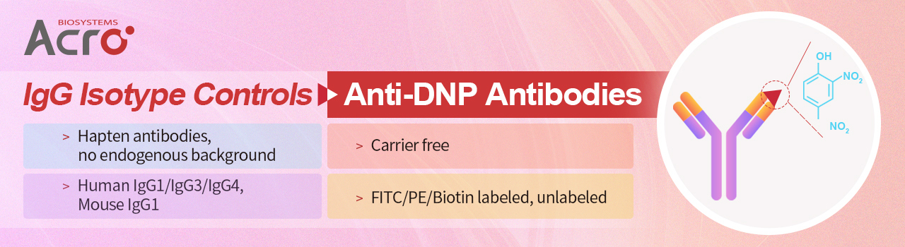 IgG Isotype Controls: Anti-DNP Antibodies
