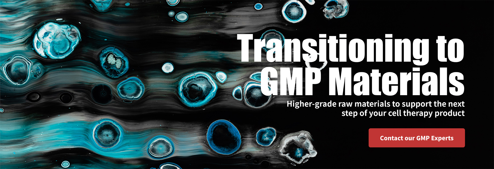 Transition to GMP