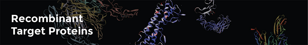 Rekombinante Proteine