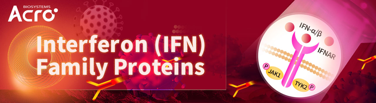 Proteine der Familie der Interferone (IFN)