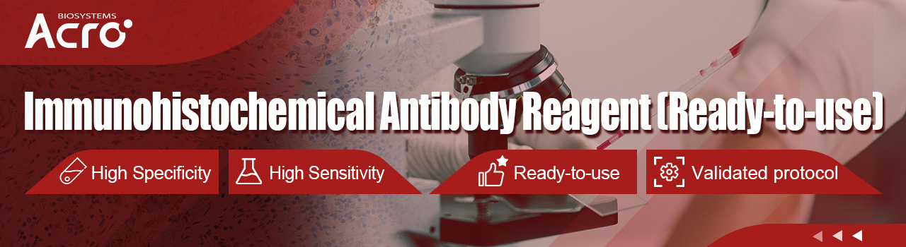 Immunohistochemistry (IHC) Antibody