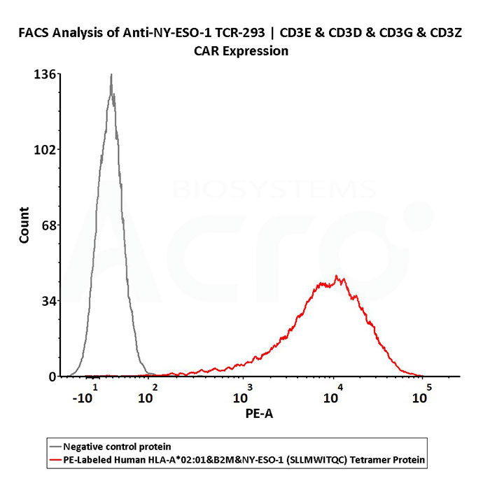 Cell Binding Activity – FACS, Flow Cytometry
