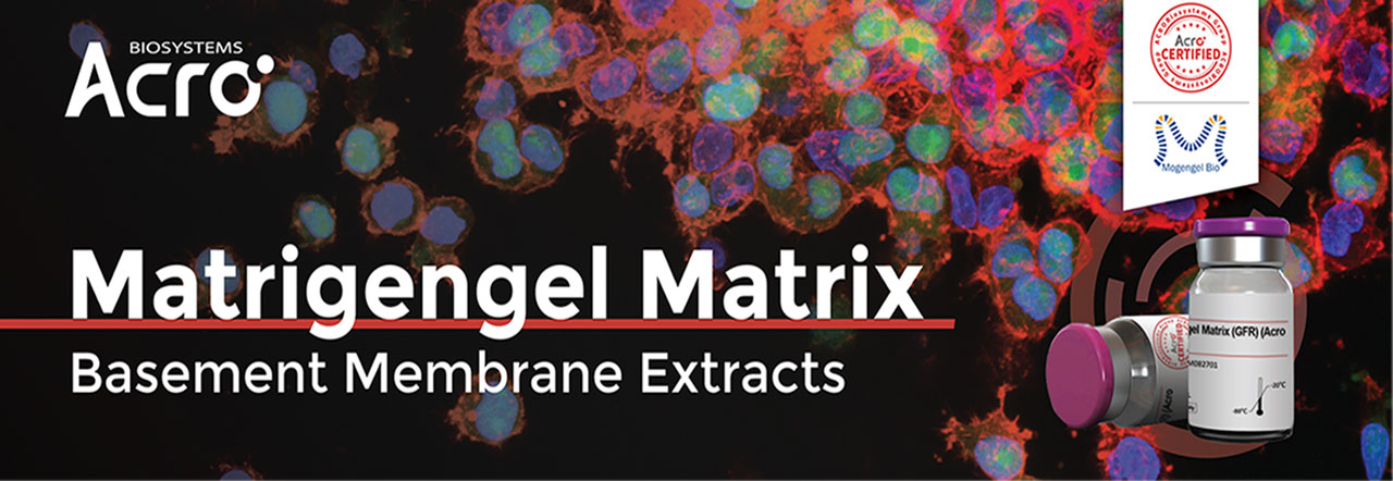 Extractos de membrana basal de Matrigengel Matrix