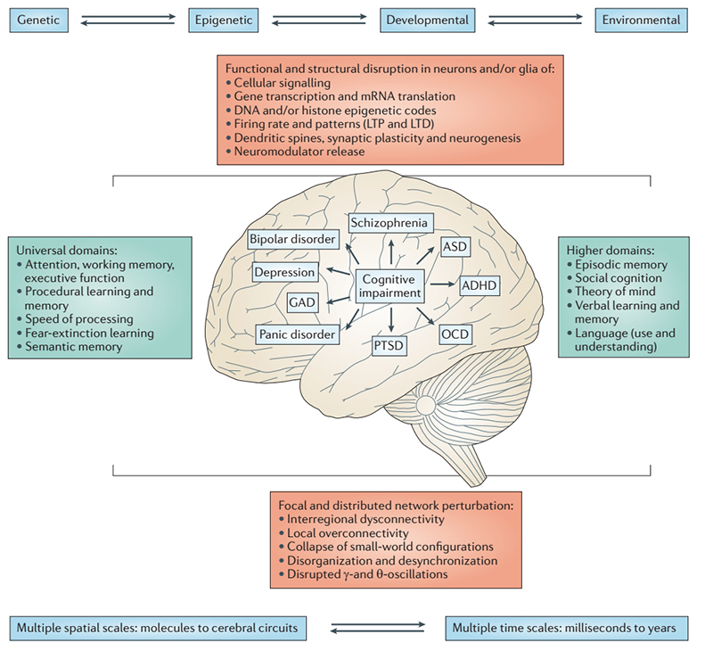 Cognitive summary of functional neurological disorders