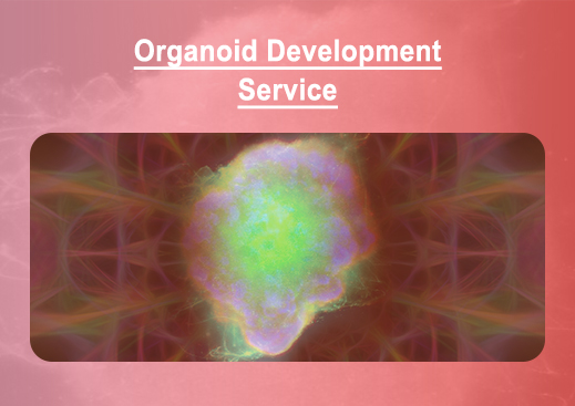Organoid Services