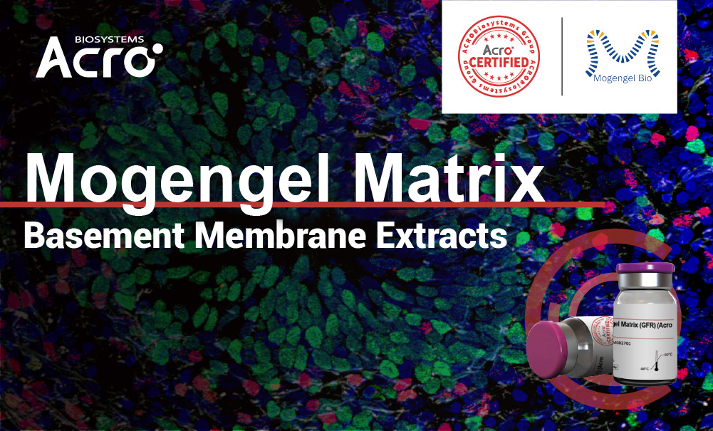 Mogengel Matrix – From Cell Culturing to Disease Modeling and Everything In-Between