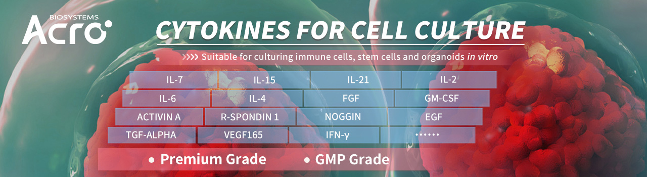 Factores de crecimiento para el cultivo de células