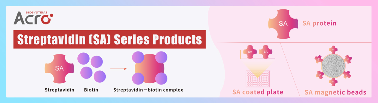 Produkte der Streptavidin (SA)-Serie
