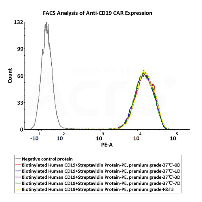 Datos de aplicación de la proteína SA marcada con PE (FACS)