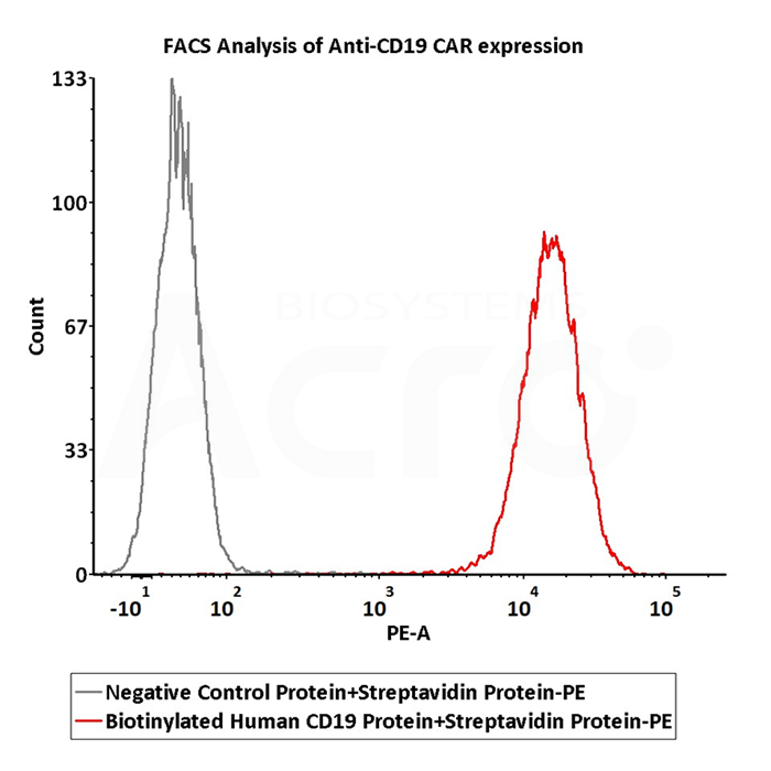 Datos de aplicación de la proteína SA marcada con PE (FACS)
