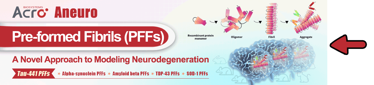 PFFs, A Novel Approach to Modeling Neurodegeneration