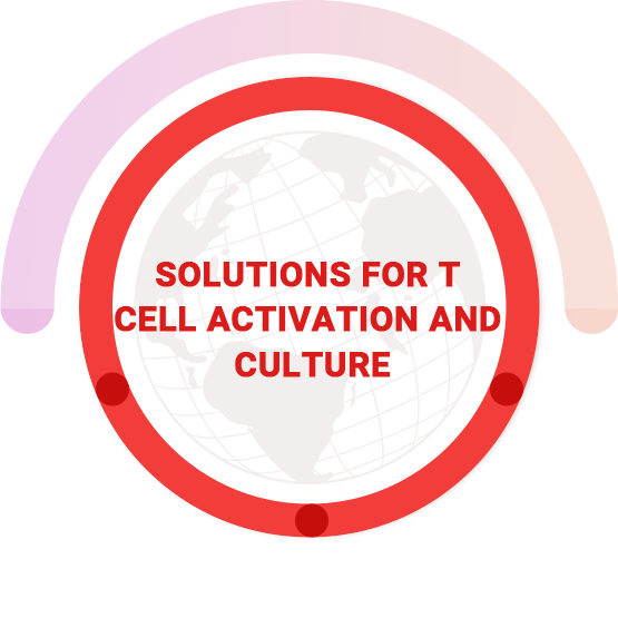 T細胞の活性化と培養のためのソリューション