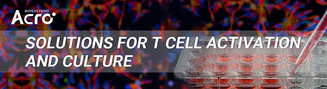 Soluciones para la activación y el cultivo de células T