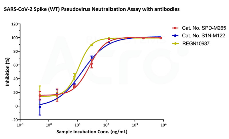 SARS-CoV-2 (WT) シュードウイルスを使用して、37℃での 3 つの抗体の中和活性を個別に評価しました。