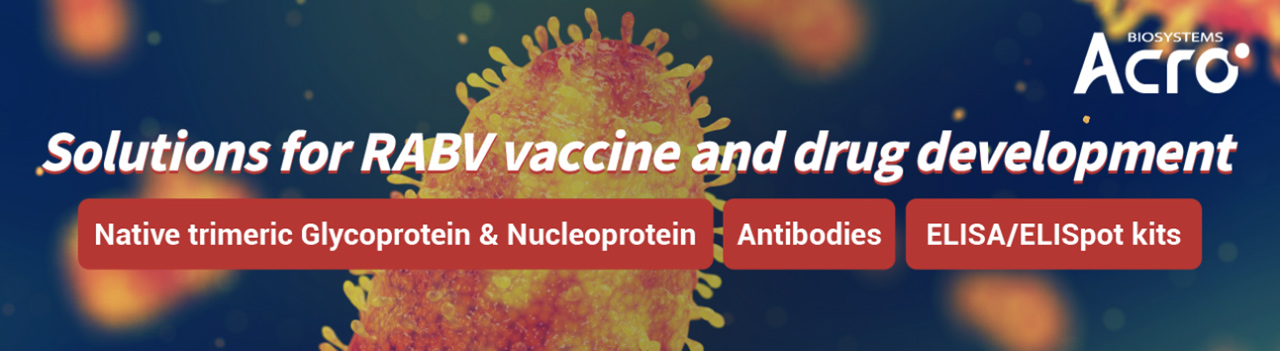 Solutions for RABV vaccine and drug development
