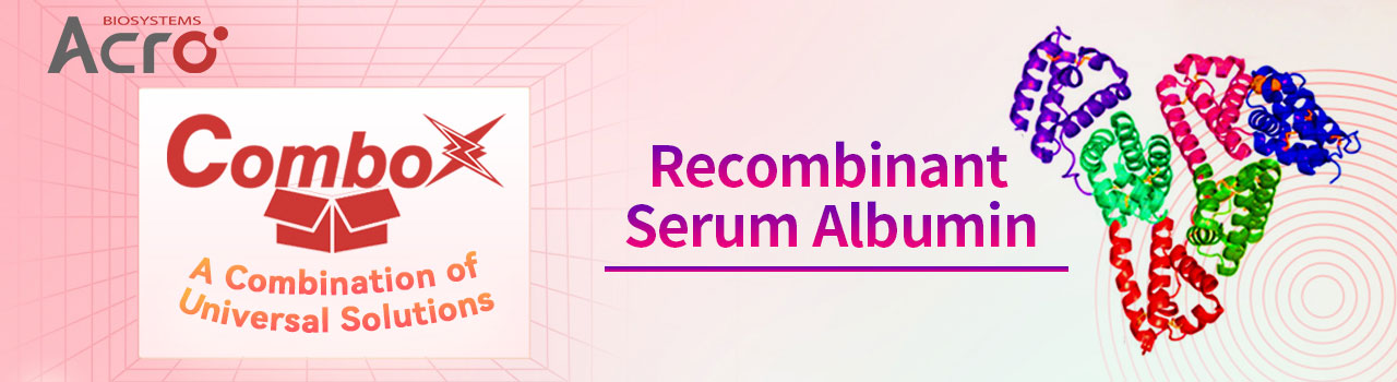 Rekombinantes Serumalbumin