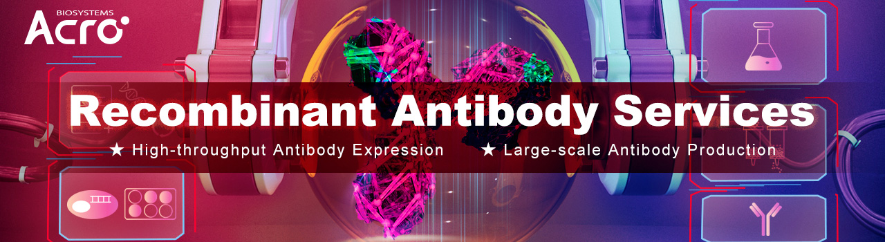 Recombinant Antibody Services