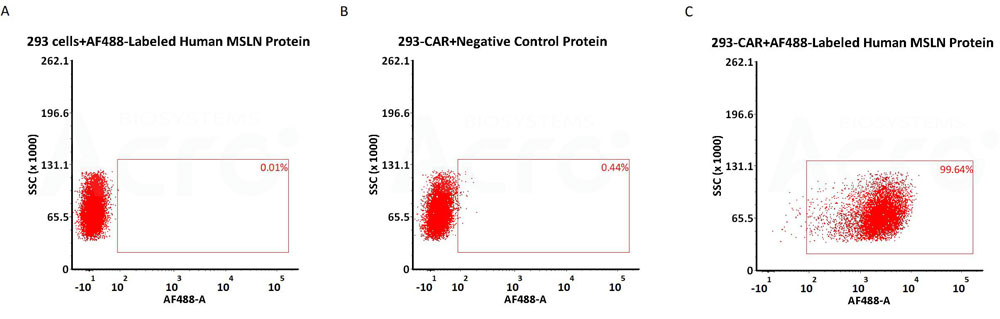 Alexa Fluor 488-Labeled Human MSLN has high bioactivity verified by FACS