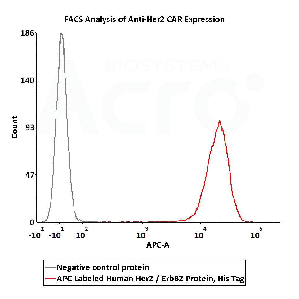 APC-Labeled Human Her2 has high bioactivity verified by FACS