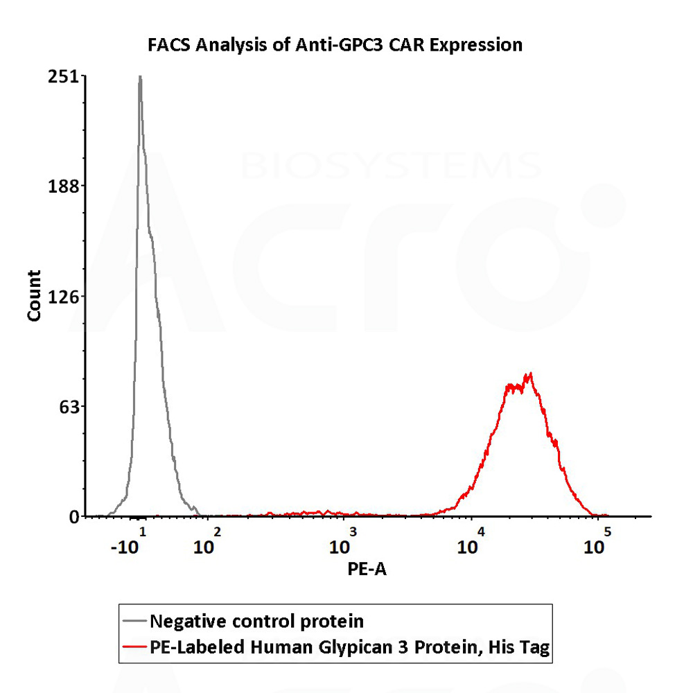 PE-Labeled Human GPC3 has high bioactivity verified by FACS
