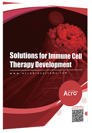 CMC Production Process of Adoptive T Cell Therapies