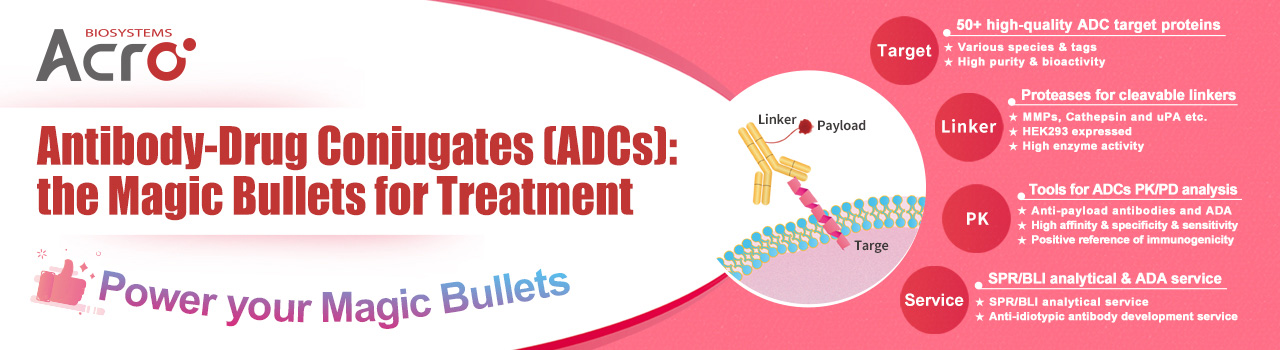 Antibody-Drug Conjugates (ADCs): the Magic Bullets for Treatment