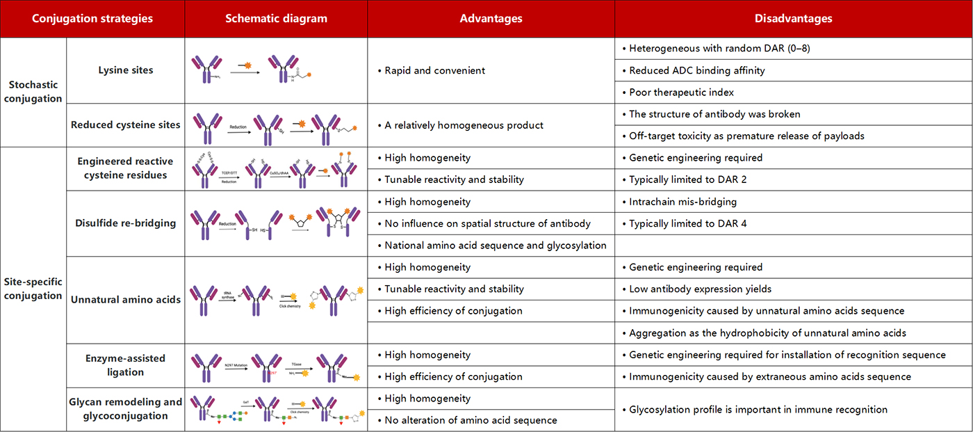 The characteristics of various conjugation methods applied for ADCs