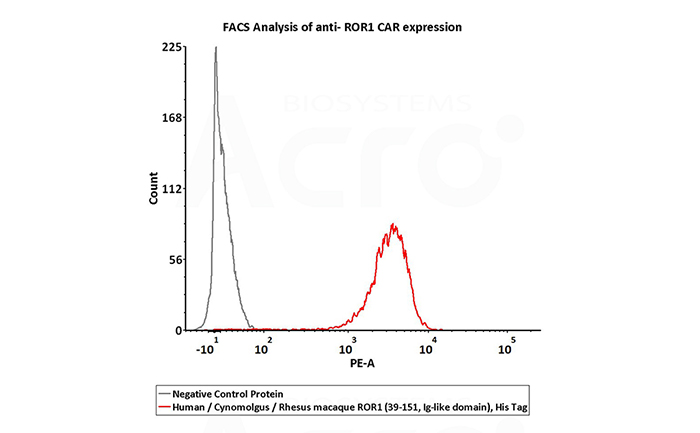 ROR1 protein's affinity verified by BLI