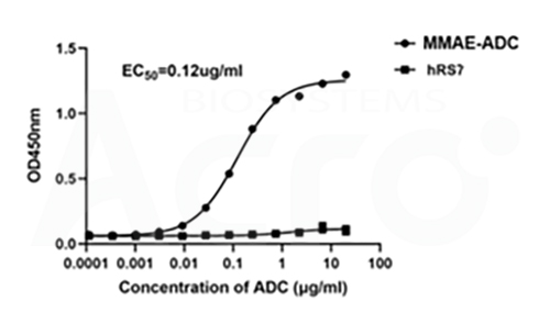 MMAE에 결합하는 항-MMAE 항체는 높은 특이성을 가짐