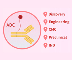 ADC의 SPR/BLI 분석 및 ADA 개발 서비스