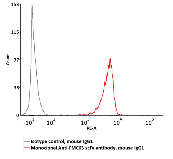 CAR-specific Monoclonal Antibody to Detect Anti-CD19 CAR Expression