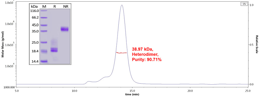 purity of CD3