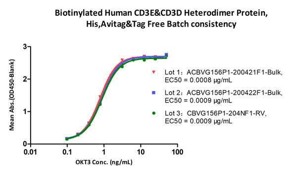 CD3の抗体結合性