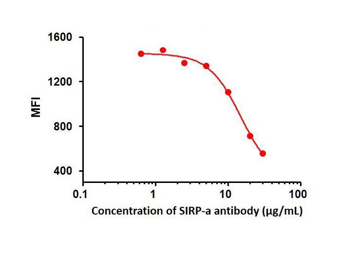 SIRP-α中和抗体による結合阻害